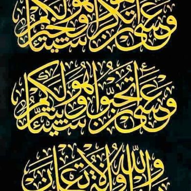 abdulfetah busser Profile Picture