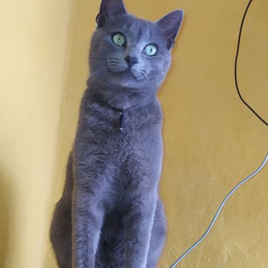 خالد الصنهاجي Profile Picture