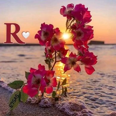 omu abdelalh Ayalew Profile Picture