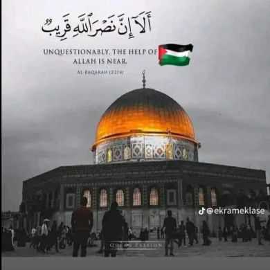 Kamil Lale Profile Picture