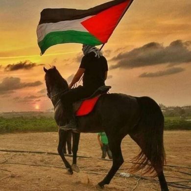 حمزة المنصوري