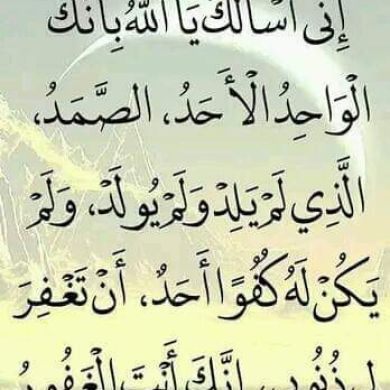 momina Mohammed Profile Picture