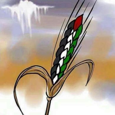 Adem Adem Profile Picture