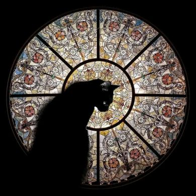 ال مختار Profile Picture