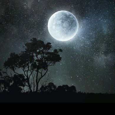 zinet adem Profile Picture