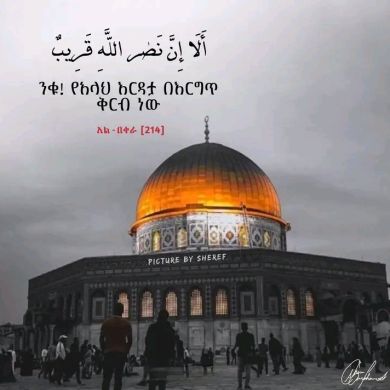 Fetiya seid profile picture