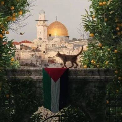 Farzona Bint Firdavs Profile Picture