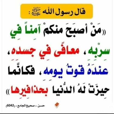 Anwar_Seid Profile Picture