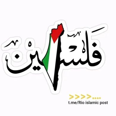 hik ma Profile Picture