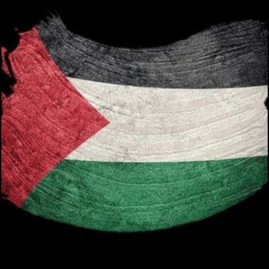 Mensur Nazif Profile Picture