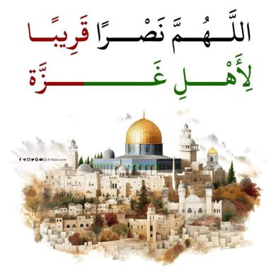 anwar abdulsemed Profile Picture