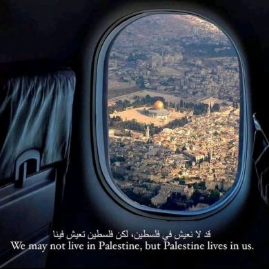 suleman masresha Profile Picture