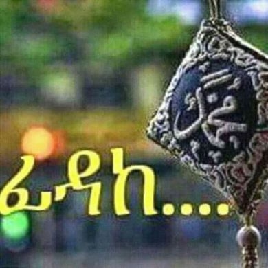 seyfadin nasir Profile Picture