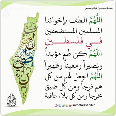 Mohammad Taha Profile Picture