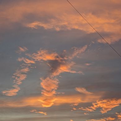 kamila g Profile Picture