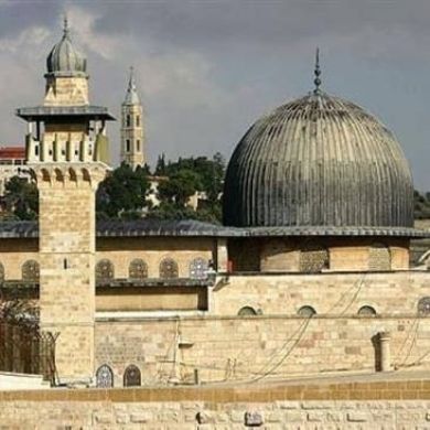 abdulaziz mohammed Profile Picture