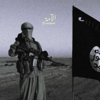 Moaz Amr Profile Picture