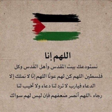 aysel aysel Profile Picture