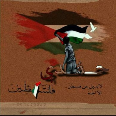 حمدي احمد شاهين Profile Picture