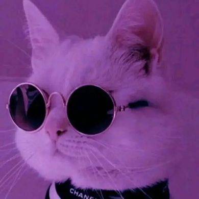 لؤيـﮯ عبآسـ