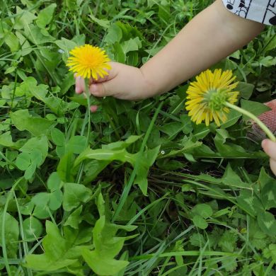 حدجا ام مريم Profile Picture