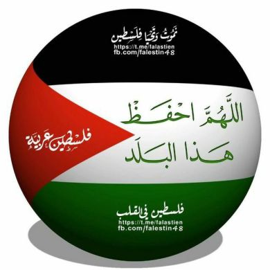 useymin shifa Profile Picture