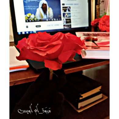 مروة أم أويس