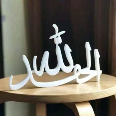 Ummu Rusheda Negash Profile Picture