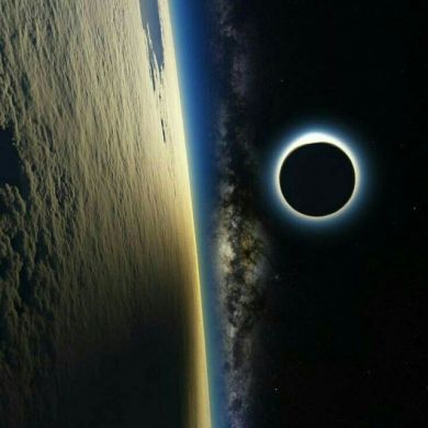 Ali Ased Profile Picture