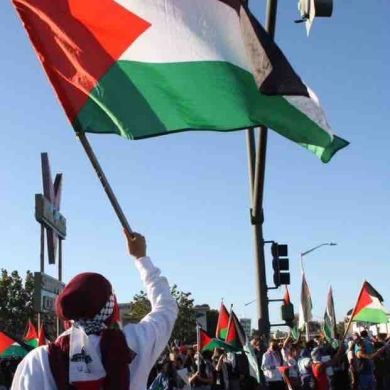 Anneta Timofeeva Profile Picture