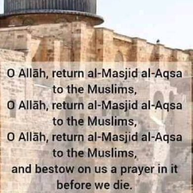 አሊ ኑረዲን Profile Picture