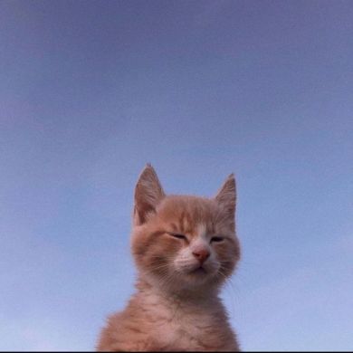 Muhammad Abdullah profile picture