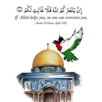 jamal mohammed Profile Picture