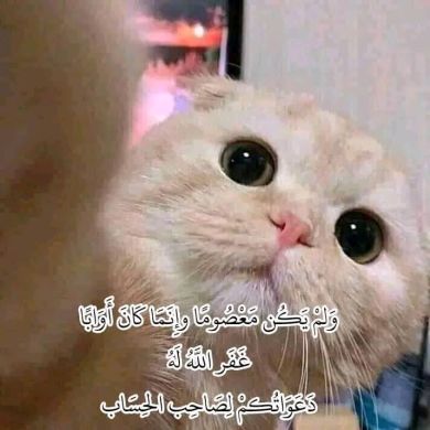 ياسين ابن ابي الزيد Profile Picture