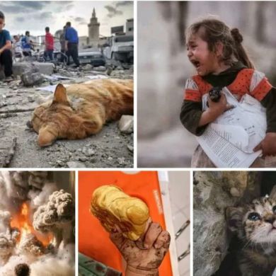 مريم ابنة محمود