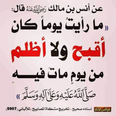 Nesre Ahmed Profile Picture