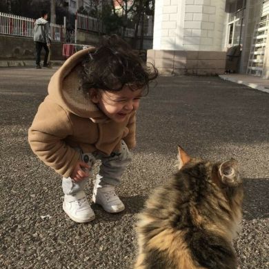 Jihad Ayman Profile Picture