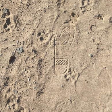 Jafar Arush Profile Picture