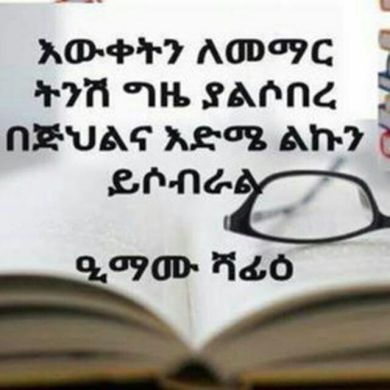 توفيق بن يحيى