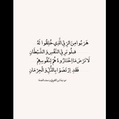 seid engeta Profile Picture