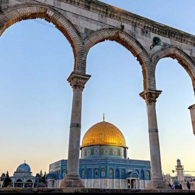 خالد غنيم Profile Picture