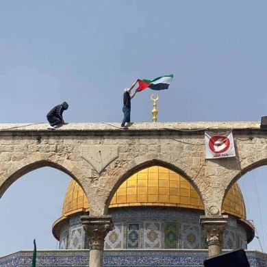 samia abdelsalam Profile Picture