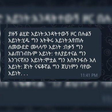 nurya mustefa Profile Picture