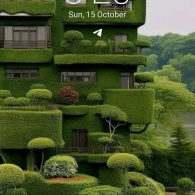 Muzeyin Jemal Mehmmed profile picture