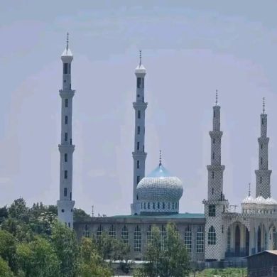 Abdulmalik ኢብኑ ዐሊዛኜ Profile Picture