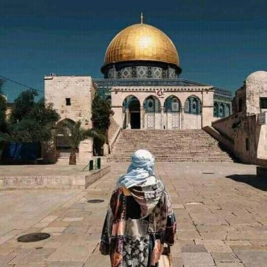 محمد ناجح Profile Picture