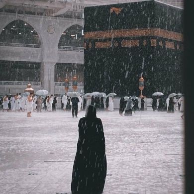 شيماء عمار Profile Picture