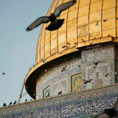 إنعام بن عثمان