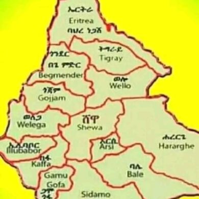 Seid Mohammed Profile Picture