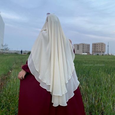 سدرة المنهى